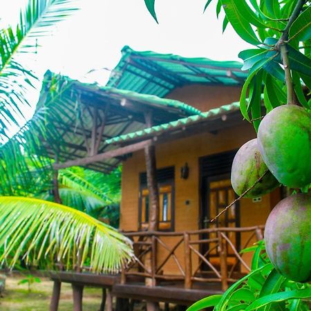 Yalaway Nature Villa Tissamaharama Bagian luar foto