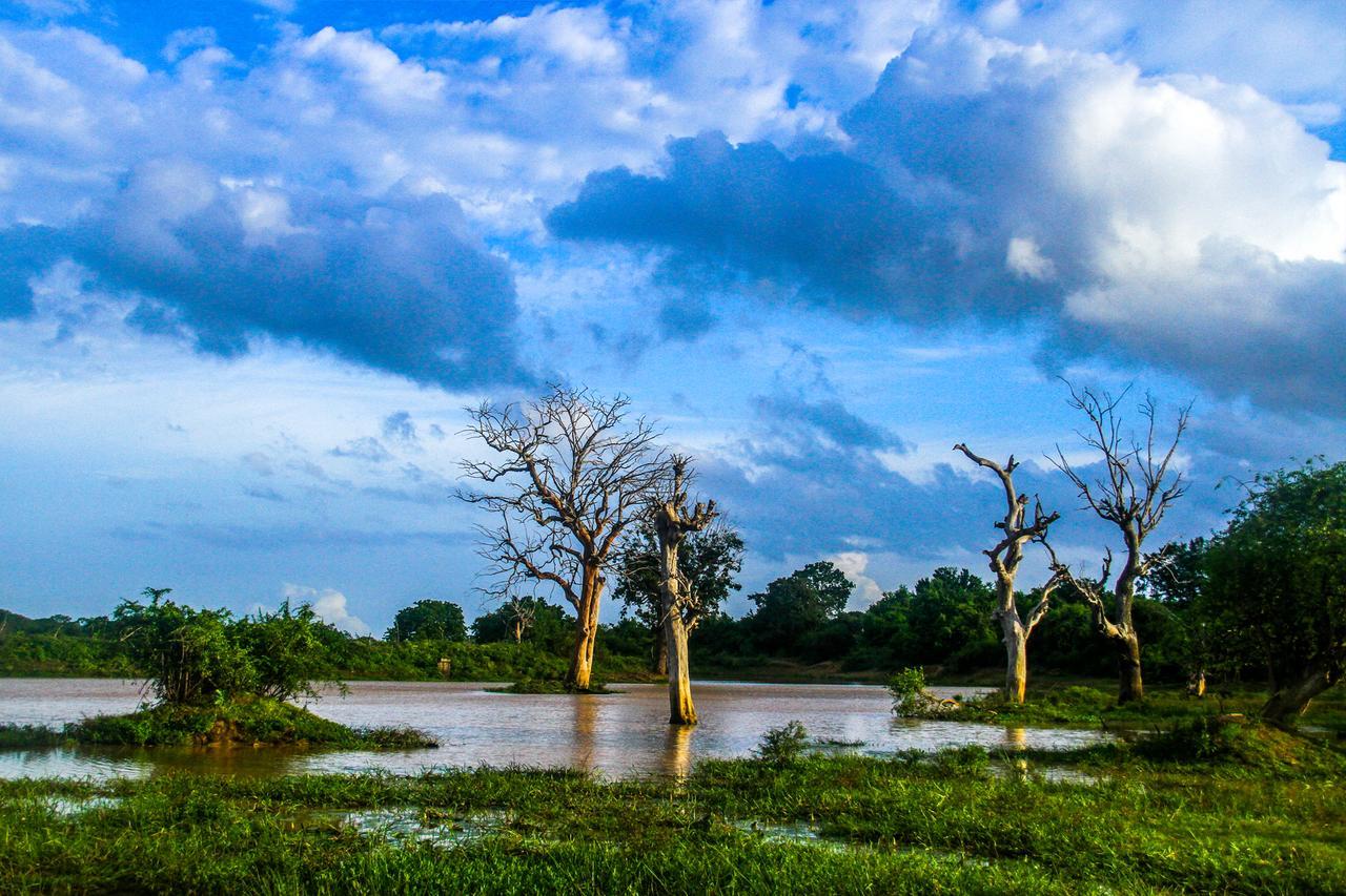 Yalaway Nature Villa Tissamaharama Bagian luar foto
