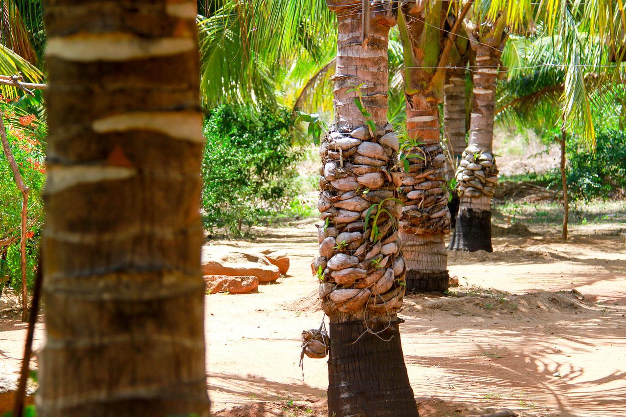 Yalaway Nature Villa Tissamaharama Bagian luar foto